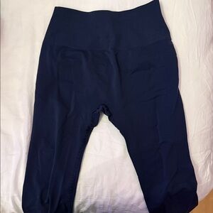 Alphalete Navy Blue Seamless Leggings